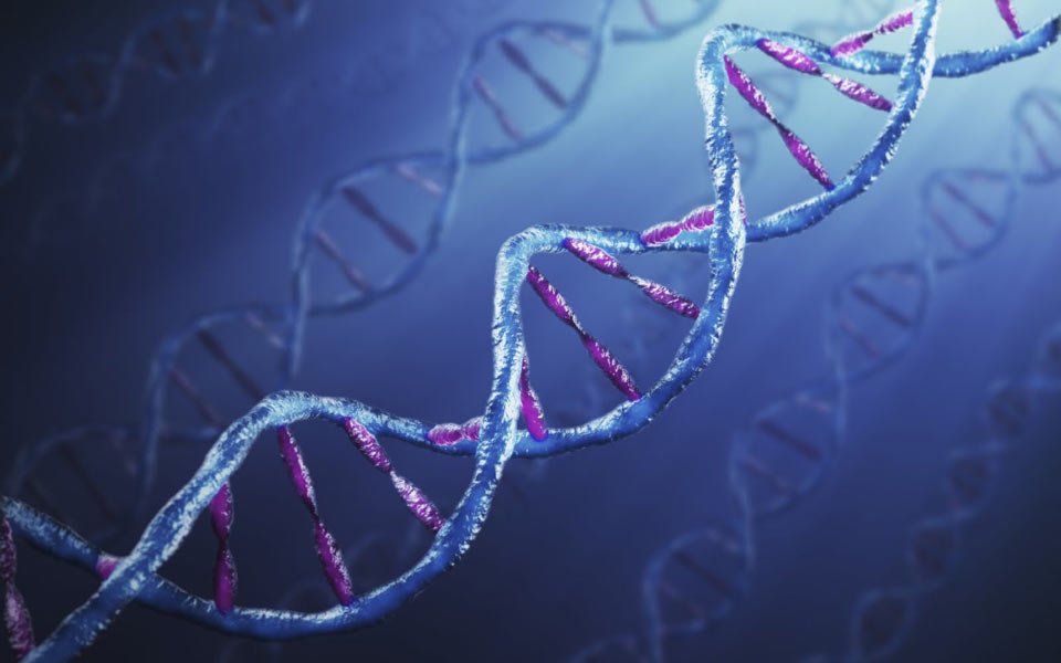 μοριακός-παράγοντας-ξεριζώνει-τα-κύτ-561236374