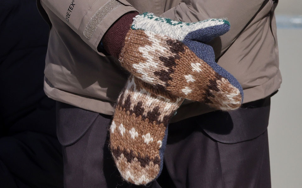 Η νεαρή ποιήτρια και τα γάντια του Μπέρνι-1