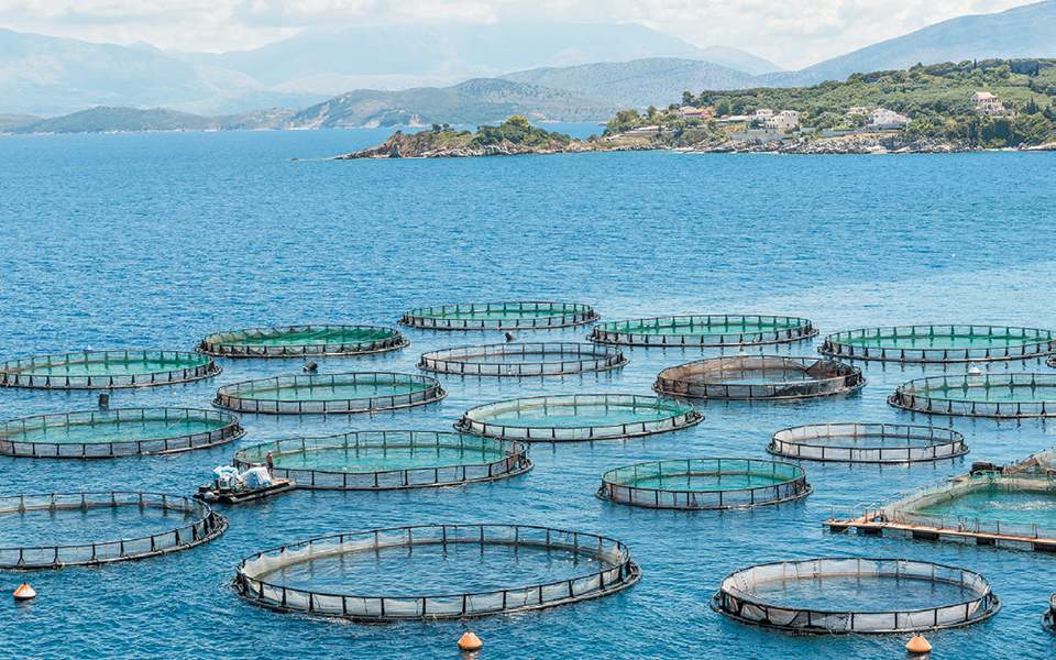 επενδύσεις-20-25-εκατ-προωθεί-η-avramar-σε-ελλάδα-561241759