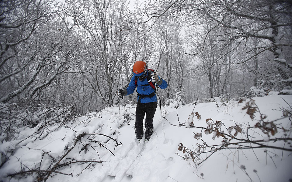 ο-λέανδρος-φεύγει-το-κρύο-μένει-561233479