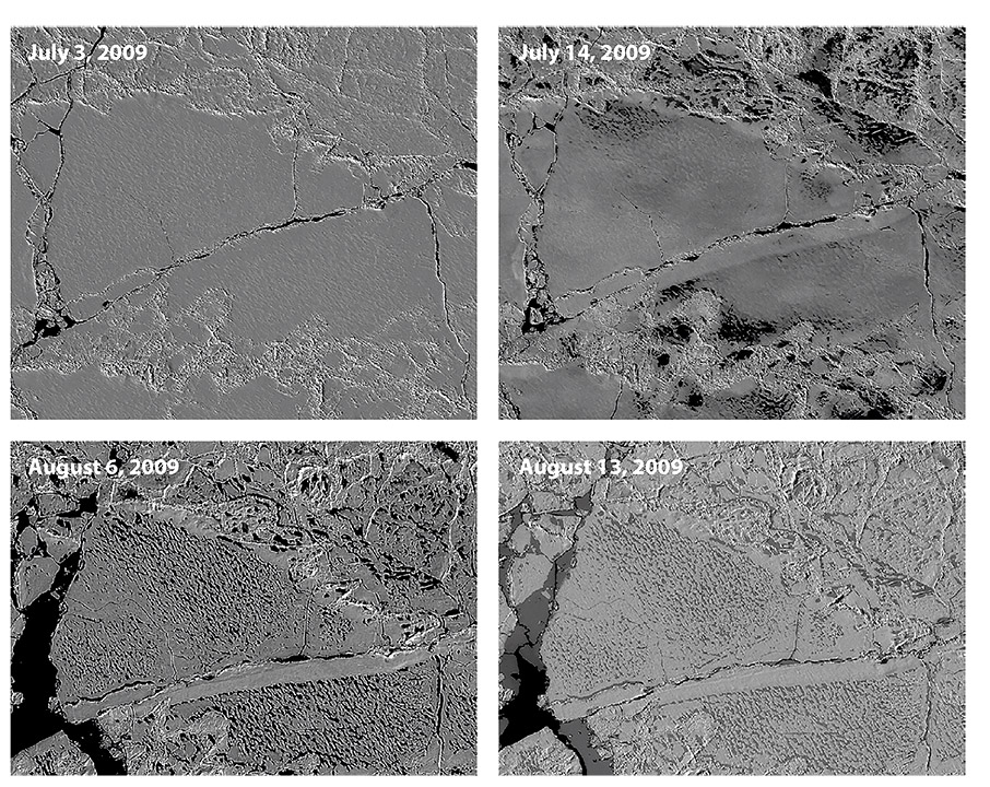 Η «πράσινη» κατάσκοπος-4