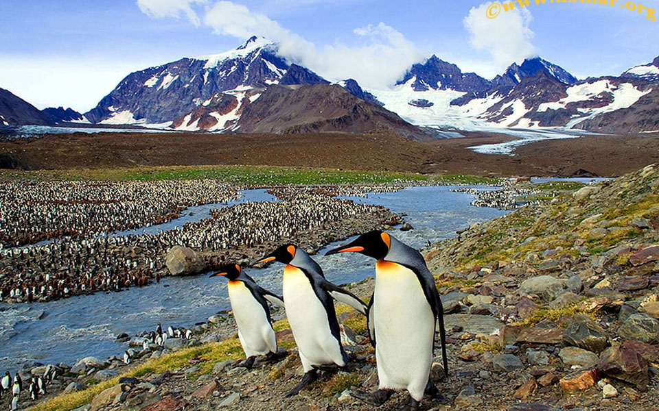 το-2020-είναι-μαζί-με-το-2016-οι-πιο-ζεστές-χρον-561220066