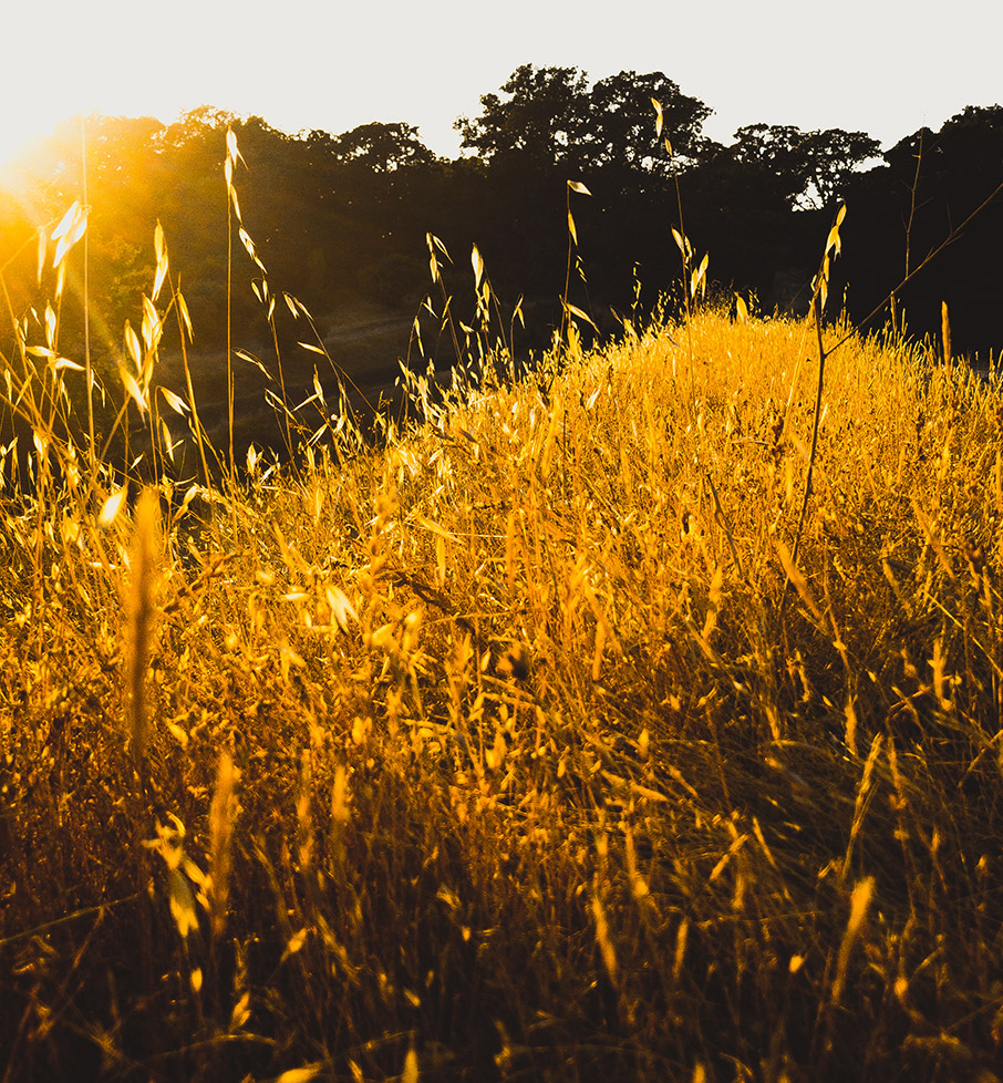 Ταξίδια στον κόσμο: 52 «εισιτήρια» για το 2021-18