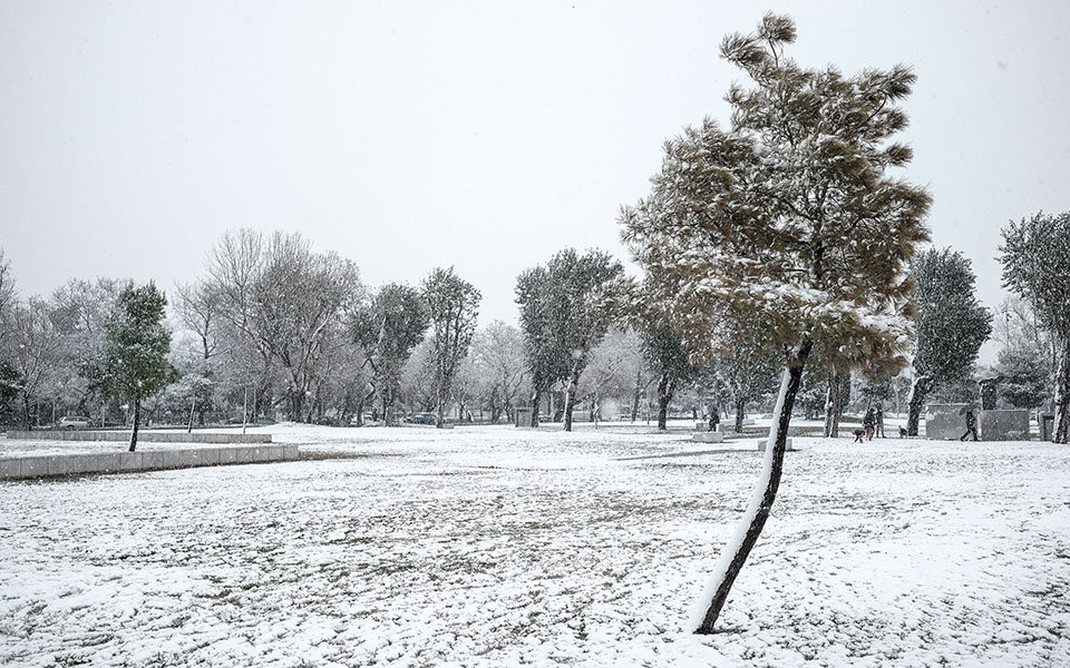 meteo-δεν-ξεπερνά-το-6-η-έκταση-που-καλύπτετ-561245953