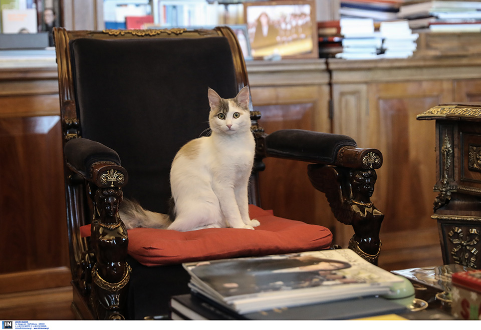 προεδρική-θέση-561258244