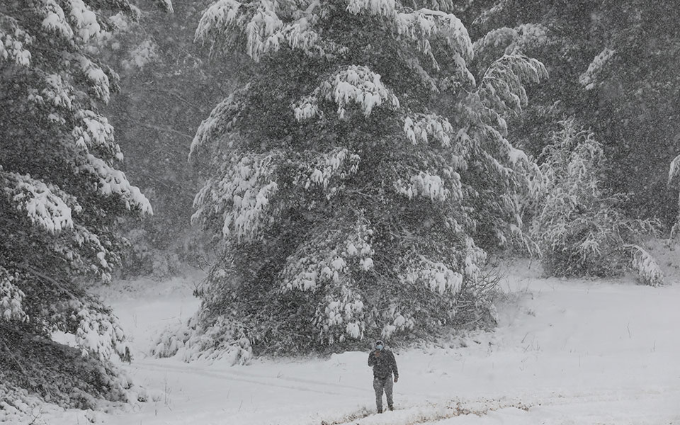 πολλαπλά-οφέλη-για-ατμόσφαιρα-έδαφος-561266929