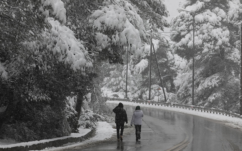 μήδεια-ζημιές-στο-ηλεκτρικό-δίκτυο-561266869