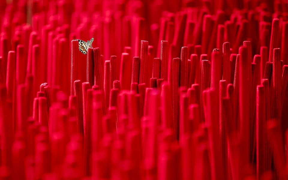 Μπερδέματα