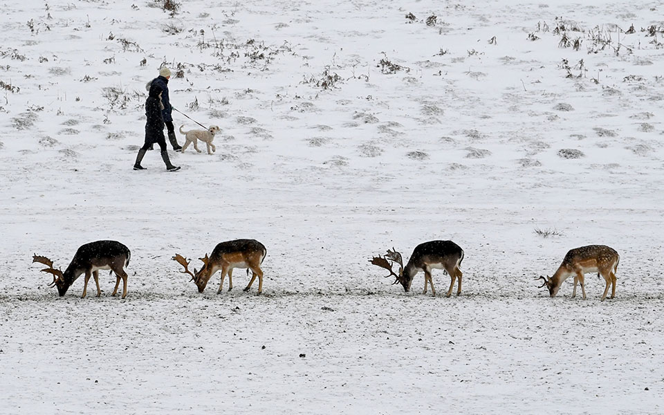 Ψυχρή εισβολή έντυσε στα λευκά την Ευρώπη (εικόνες)-7