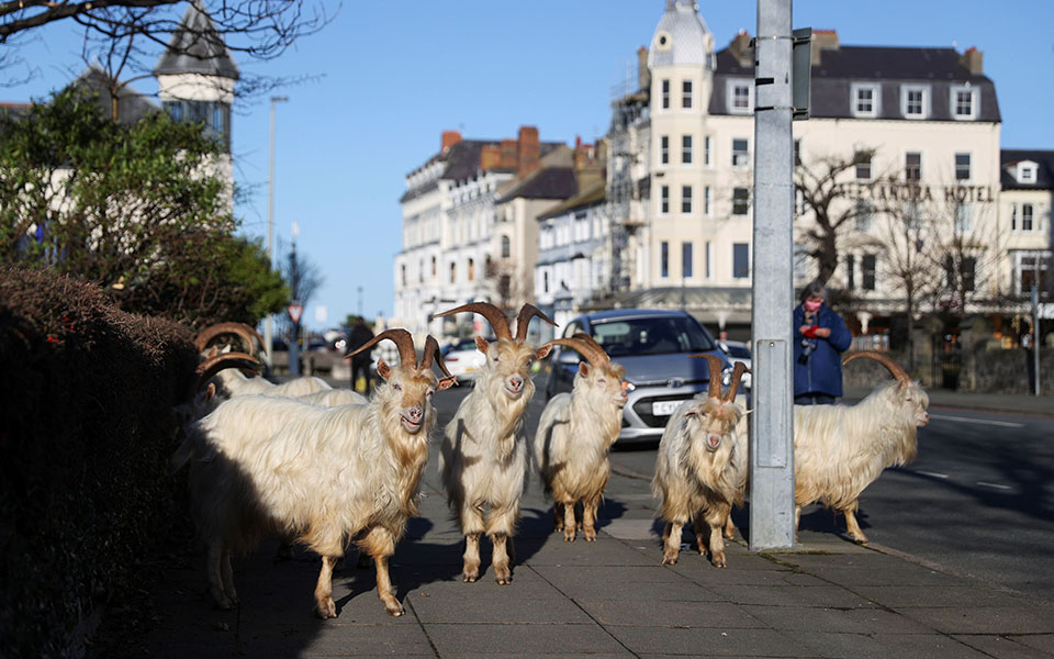 άδειασε-από-ανθρώπους-και-γέμισε-με-κα-561274294