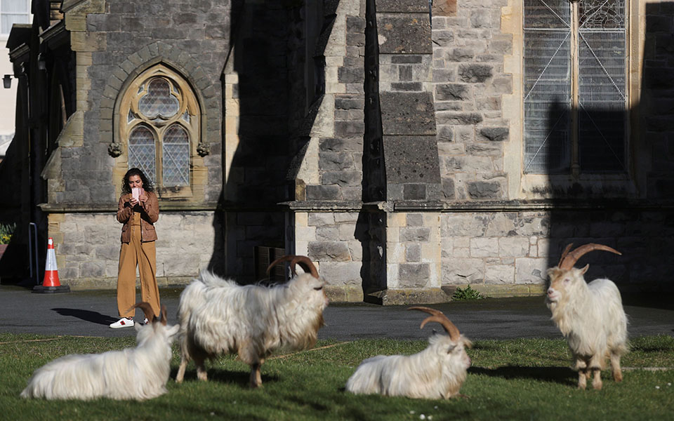 Άδειασε από ανθρώπους και γέμισε με κατσίκες πόλη της Ουαλίας-4