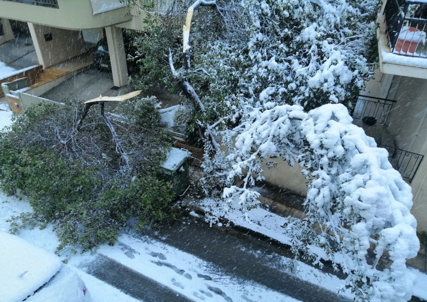 «Μήδεια»: Πού εντοπίζονται τα προβλήματα στην ηλεκτροδότηση-1