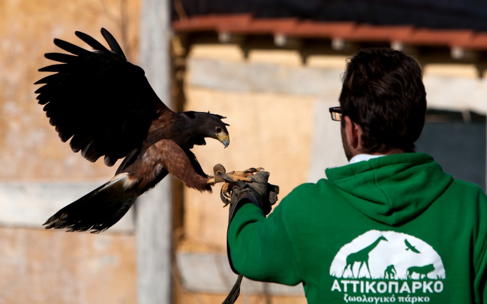 σήμα-κινδύνου-από-το-αττικό-ζωολογικό-561249580