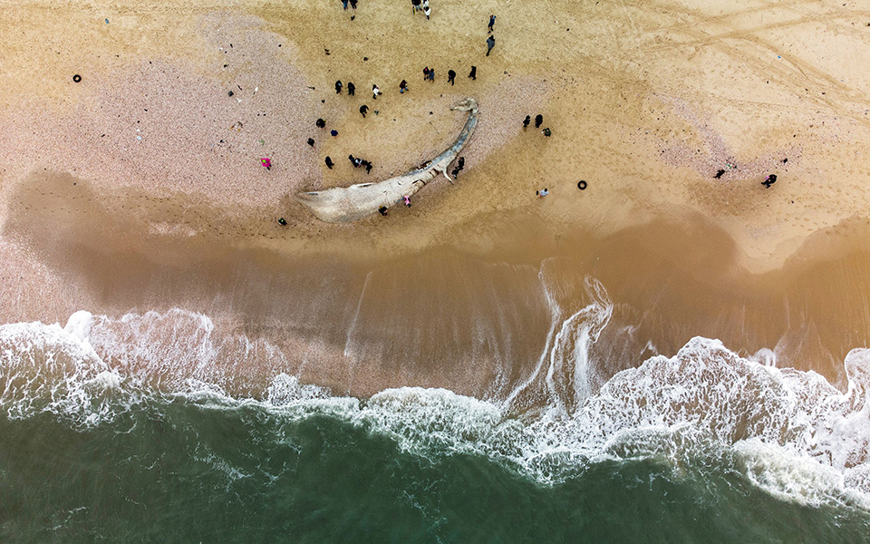 Κουφάρι αξιοθέατο
