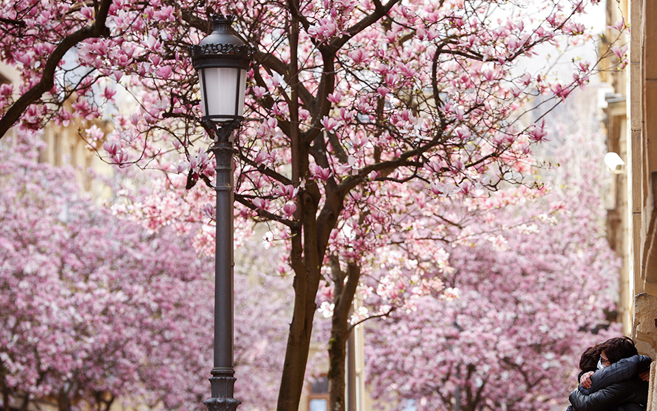 Για τους αισιόδοξους