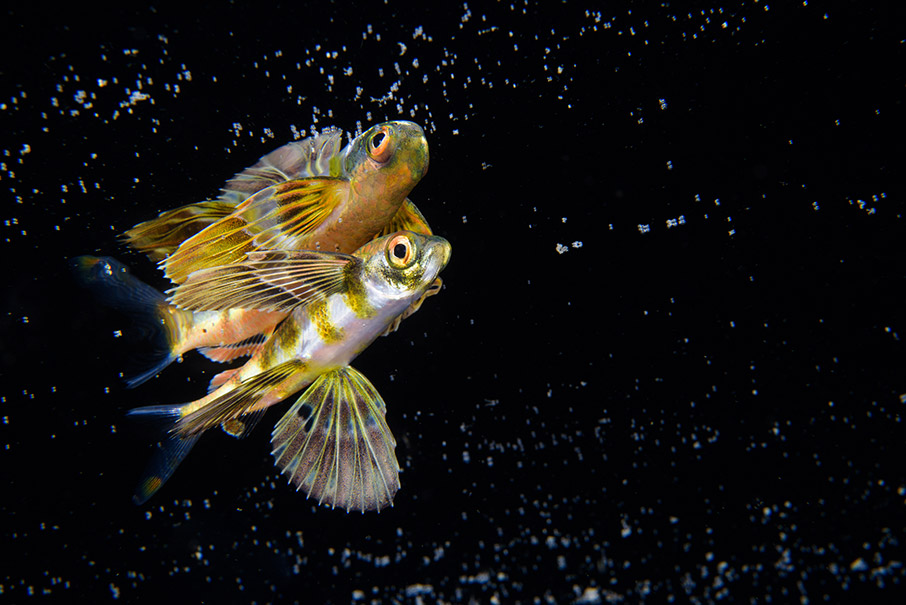 Μια βόλτα στον κόσμο-7