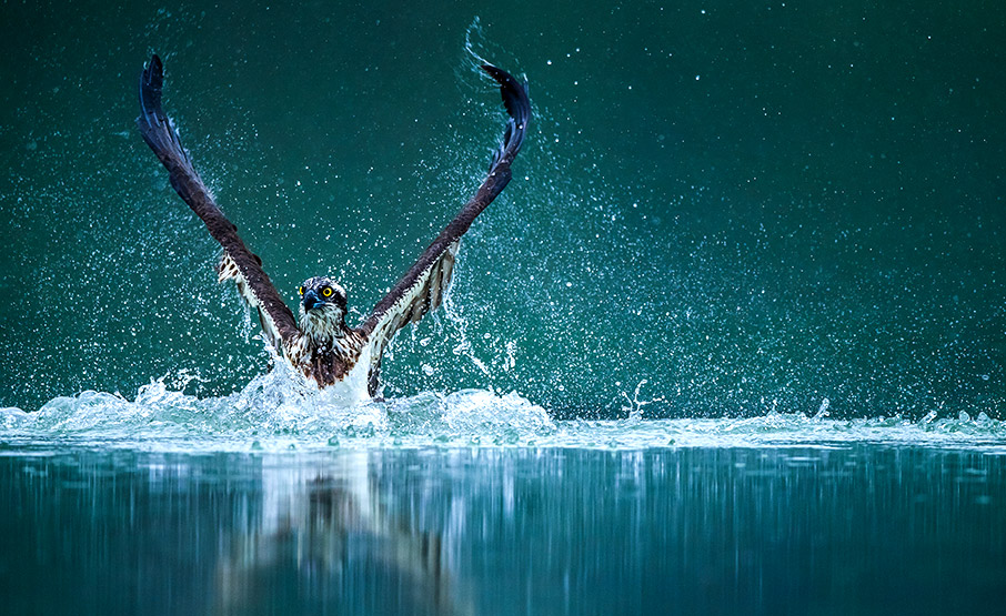 Μια βόλτα στον κόσμο-8