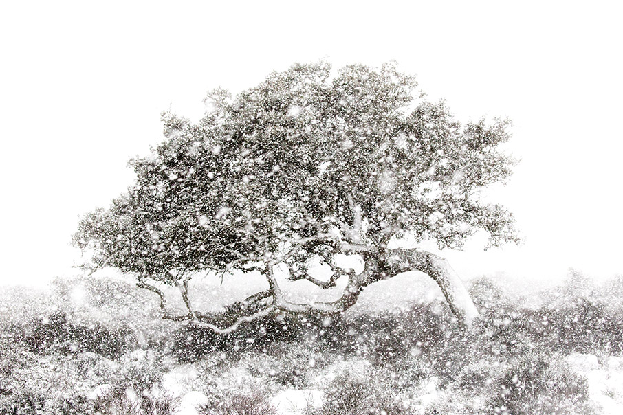 Μια βόλτα στον κόσμο-5