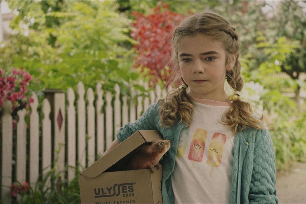 Νέες αφίξεις τον Φεβρουάριο για Netflix και άλλες πλατφόρμες-13