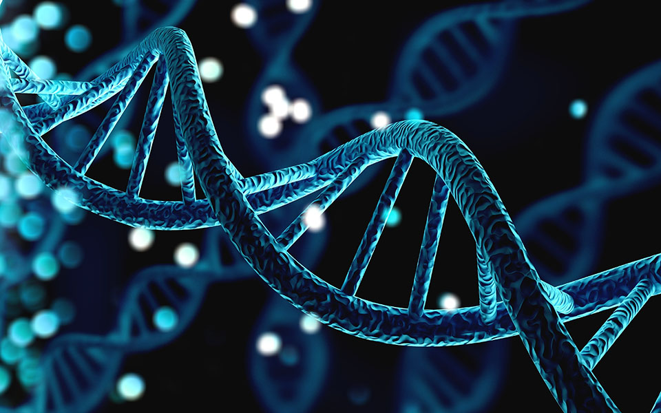 το-γονιδίωμα-και-η-γλώσσα-βίοι-παράλλη-561255211