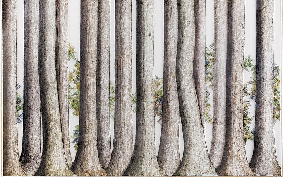 εκτακτωσπροτάσεις-για-τις-μέρες-του-lockdown-561250807