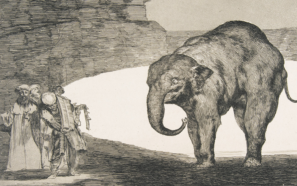 ματιές-στον-κόσμο-561263518