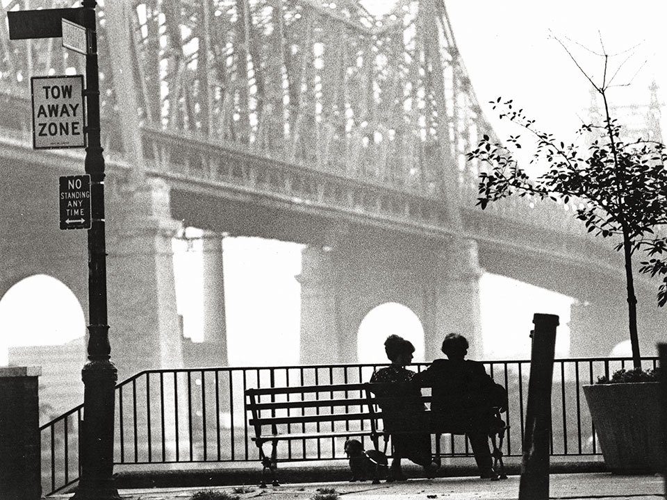 Γούντι Αλεν, ο απολογισμός-2