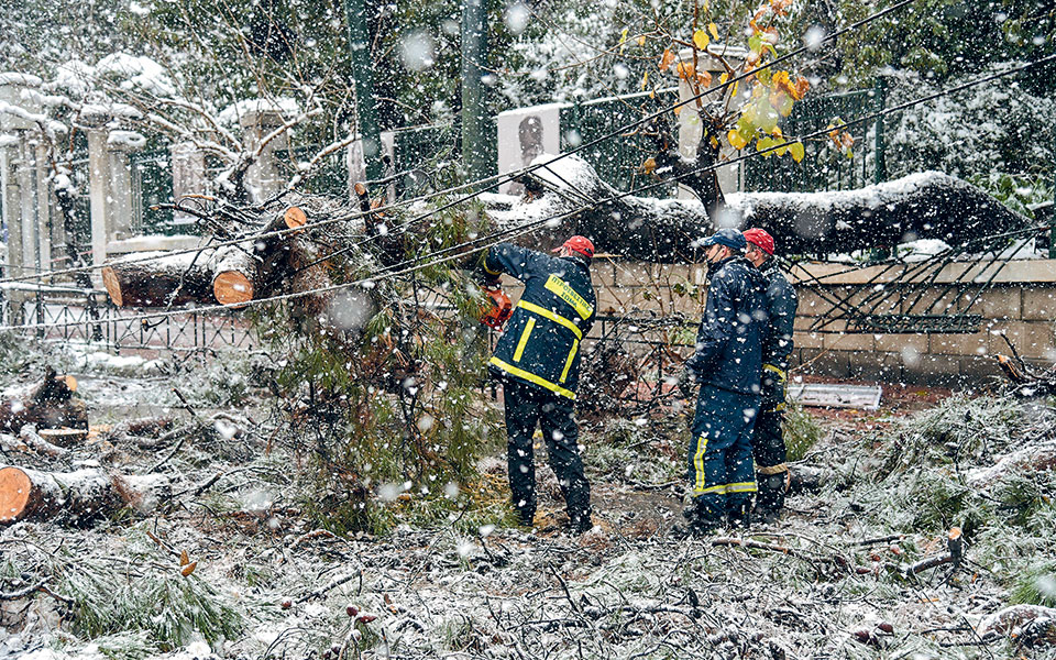 η-μήδεια-χτύπησε-με-σφοδρότητα-την-α-561266875