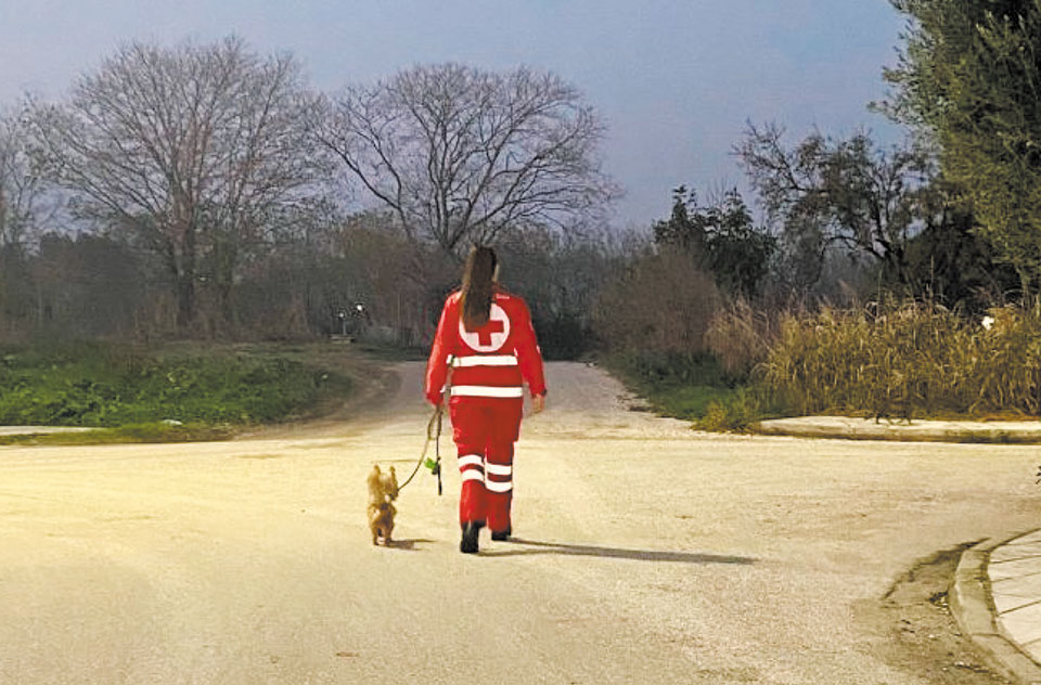 Ο Ελληνικός Ερυθρός Σταυρός προσφέρει νέα υπηρεσία περιπάτου για ζώα συντροφιάς-2