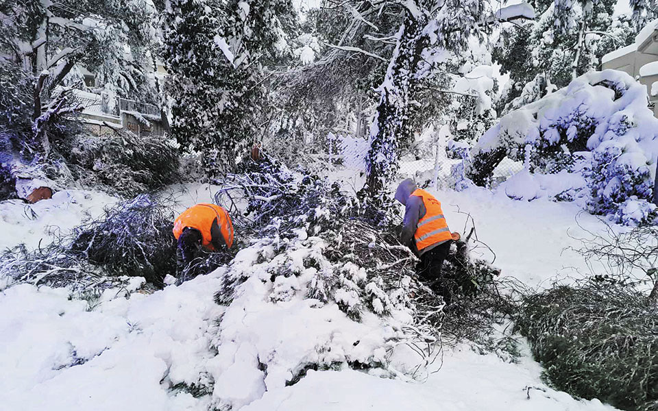 η-ασυνεννοησία-έφερε-το-χάος-561268168