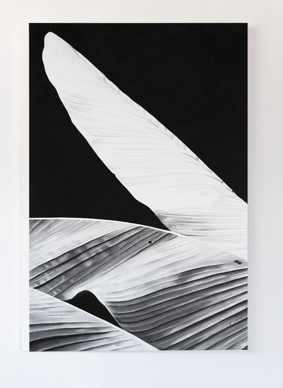 Κάνοντας «Κηπουρική» με την τέχνη-1