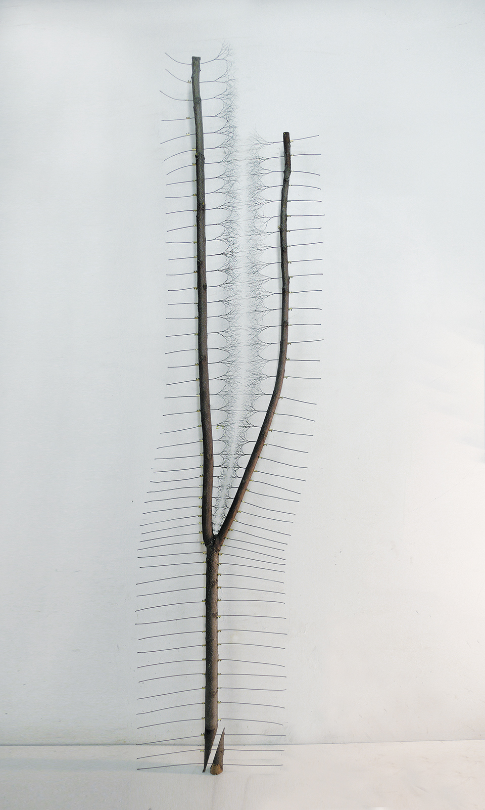 Κάνοντας «Κηπουρική» με την τέχνη-2