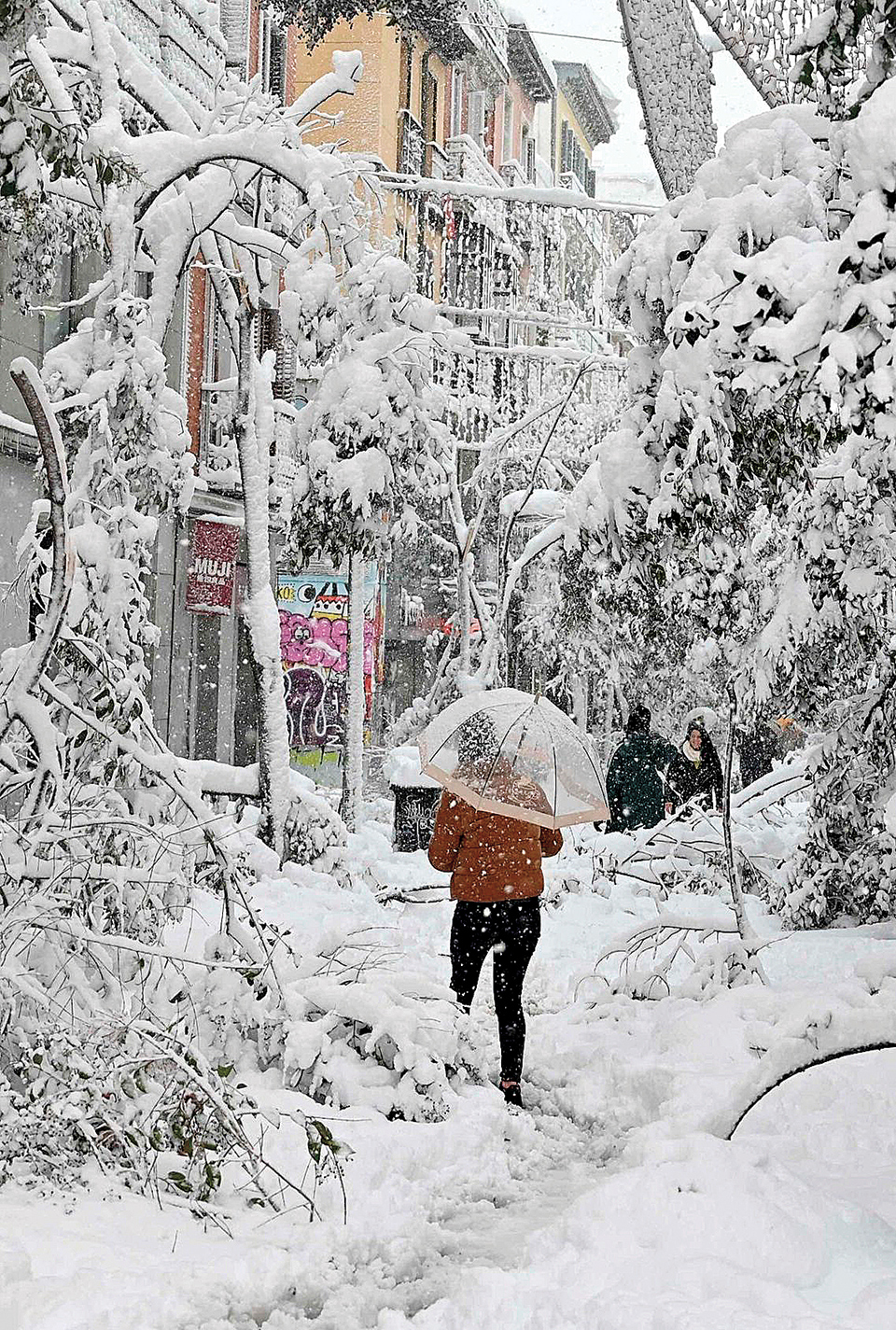 Πολικό ψύχος, καύσωνες και ξηρασία-1