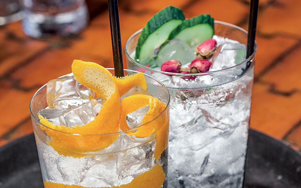 gin-and-tonic-561251545