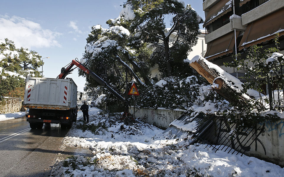 eντεκα-επενδυτές-στη-μάχη-για-το-49-του-δε-561271096