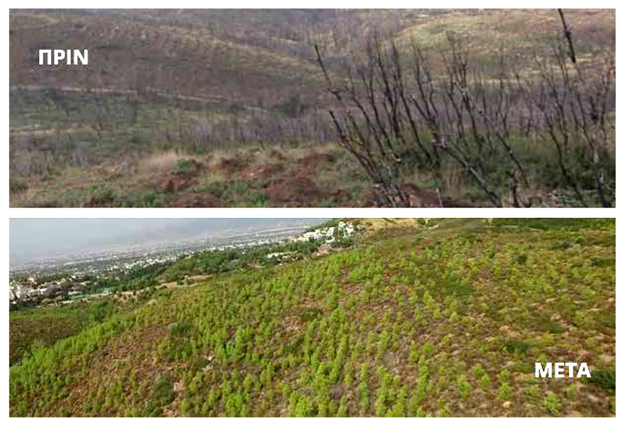 Γιάννης Σπανολιός: «Κινητήρια δύναμή μας είναι ο κόσμος»-1
