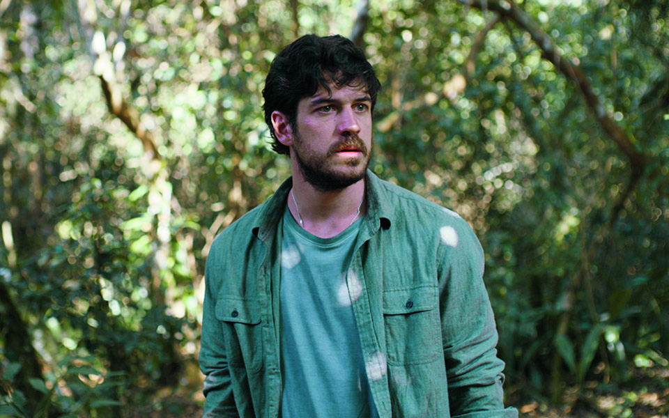 τα-μυστικά-του-δάσους-και-ένας-αλληγορ-561270682