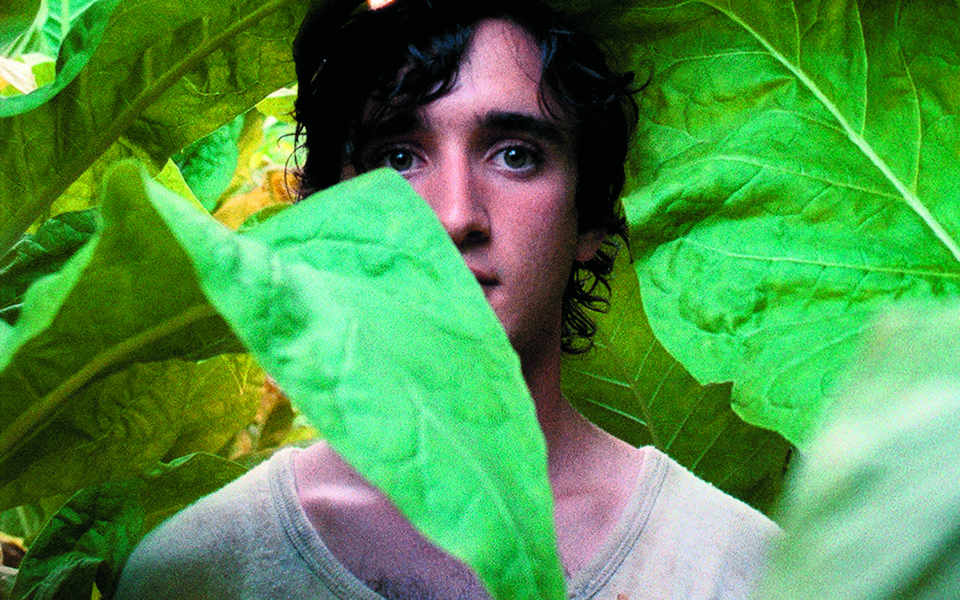 Τα μυστικά του δάσους και ένας αλληγορικός μύθος-1