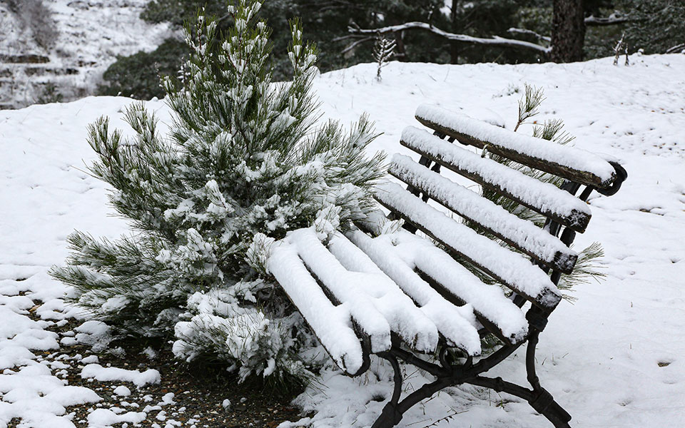 άρχισε-η-επέλαση-της-μήδειας-πώς-θ-561263002