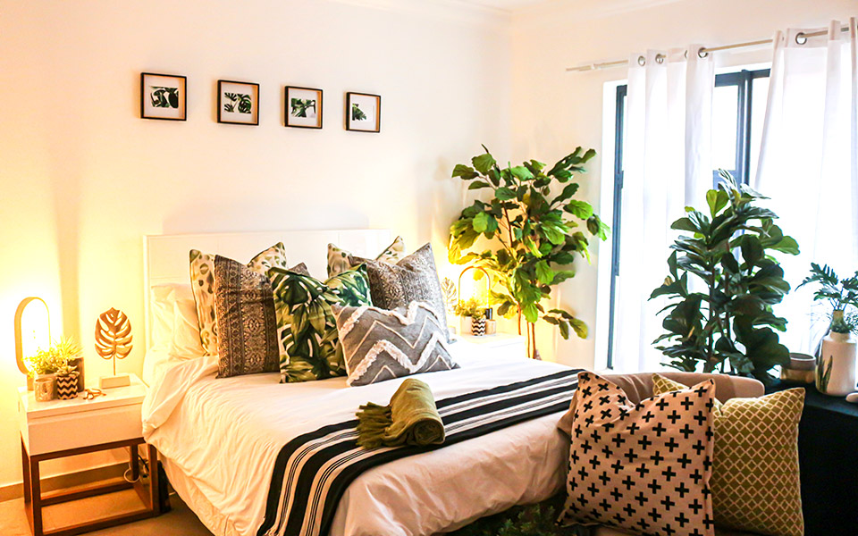 μεγάλα-φυτά-εσωτερικού-χώρου-για-το-σπ-561249838