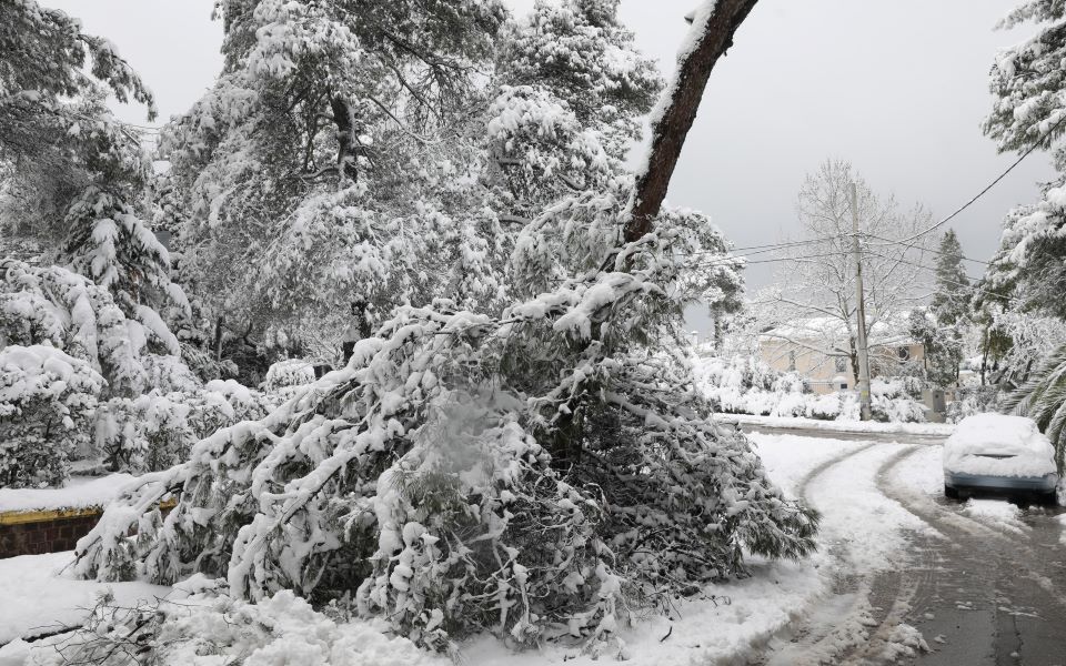 σε-κατάσταση-έκτακτης-ανάγκης-για-ένα-561266674