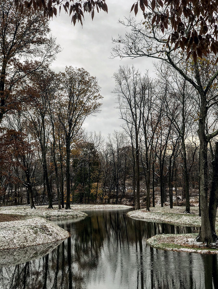 Το πράσινο όνειρο του Θωμά Δοξιάδη-1