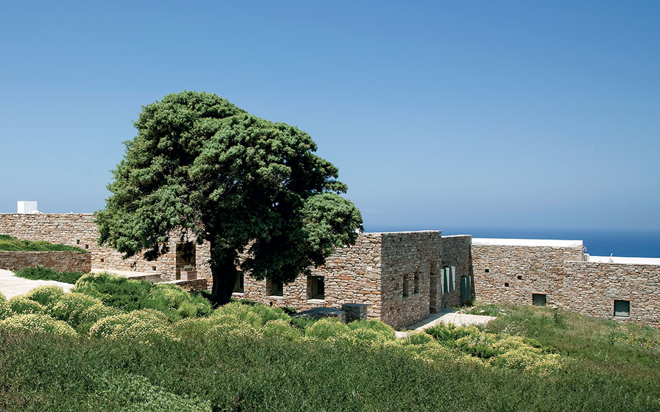 Το πράσινο όνειρο του Θωμά Δοξιάδη-5