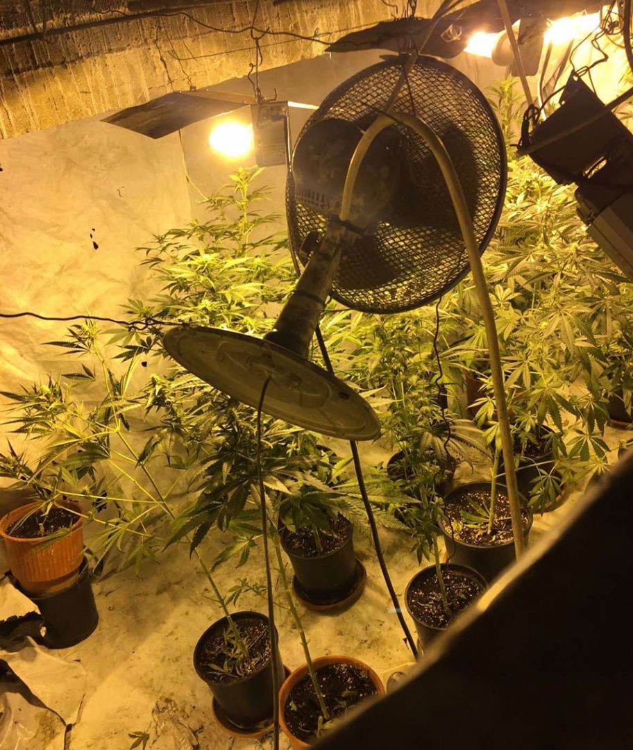 Σέρρες: Βρέθηκε υπόγειο φυτώριο κάνναβης με είσοδο από ντουλάπα (εικόνες)-1