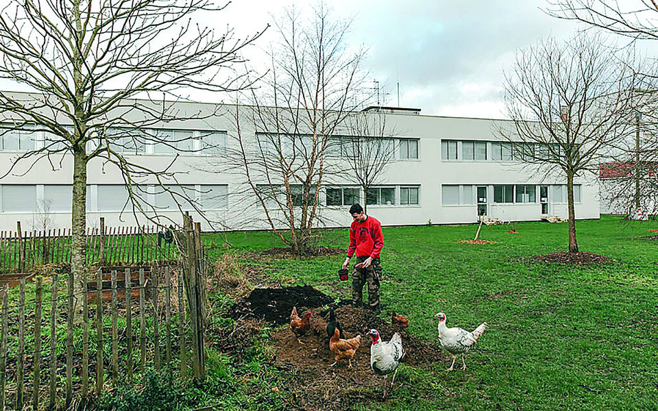 πράσινο-κίνημα-στα-πανεπιστήμια-της-γ-561255556