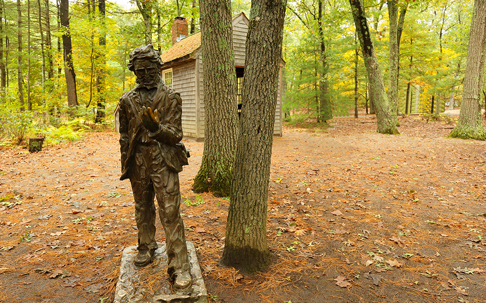 ο-πολίτης-απέναντι-στην-άδικη-εξουσία-561262498
