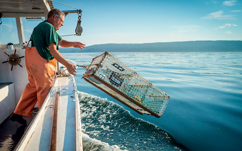 επιλεκτική-συμπόνια-561251548