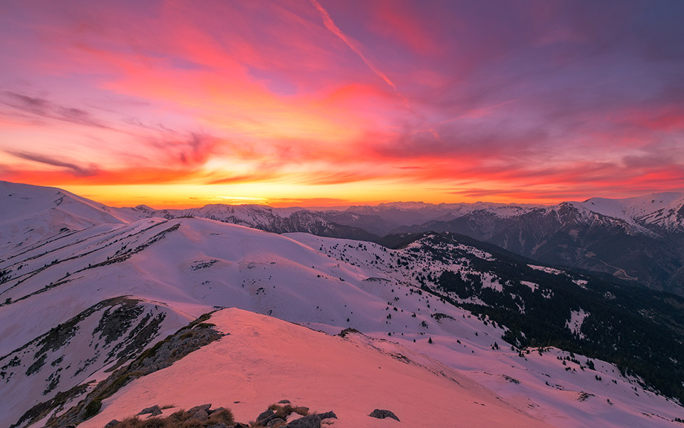 χειμερία-νάρκη-561267649