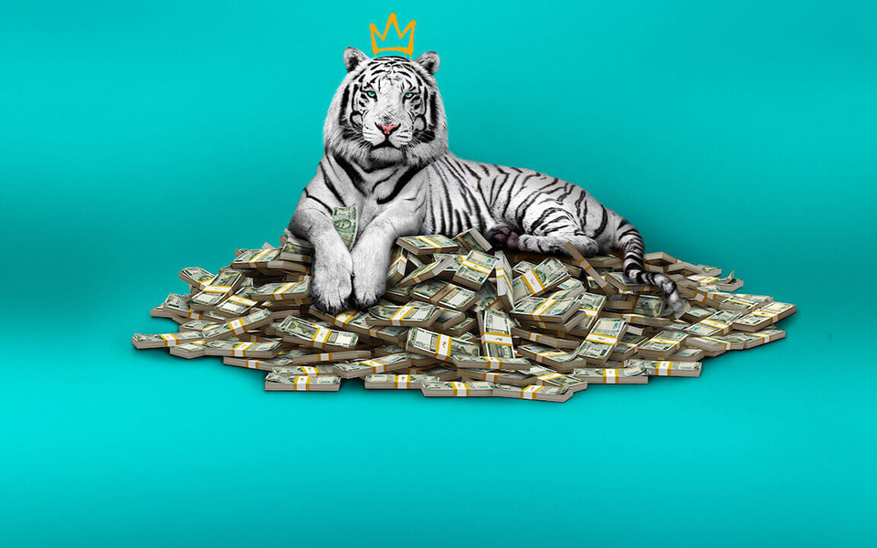 η-ταινία-the-white-tiger-στο-νούμερο-1-στο-netflix-σε-64-χώρ-561260605