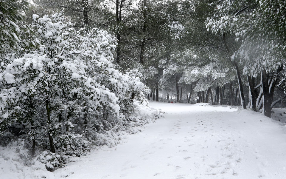 πού-καταγράφονται-προβλήματα-στην-ηλ-561264904